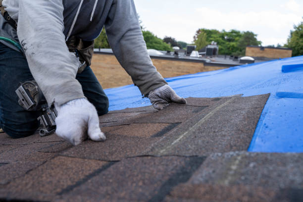 Best Flat Roof Repair Services  in Raintree Plantation, MO