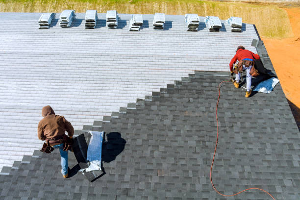 Best Roof Restoration Services  in Raintree Plantation, MO