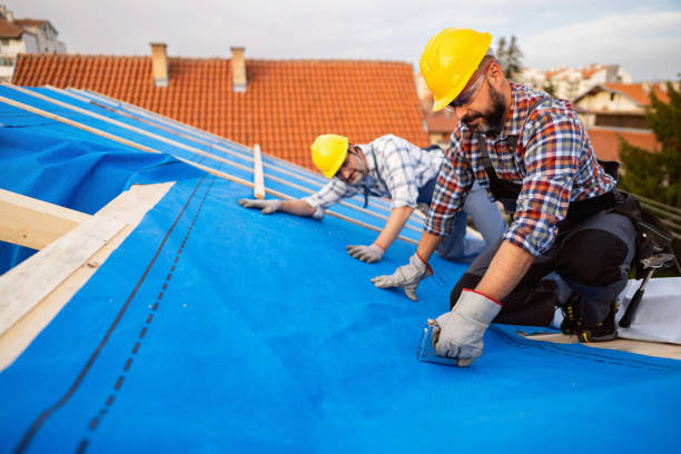 Best Roof Maintenance Services  in Raintree Plantation, MO